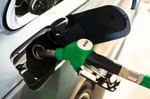 Government has no data on India's E20-compatible vehicles