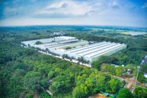Stellantis takes full ownership of Indian manufacturing JV