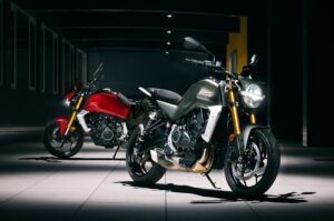 India-made Moto Guzzi The Trip Revealed